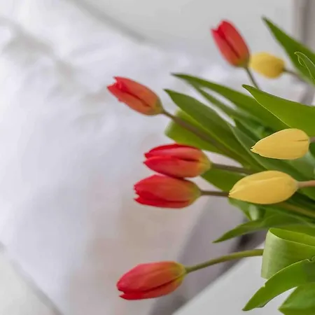 Tic Tac 23 Family With Pool View