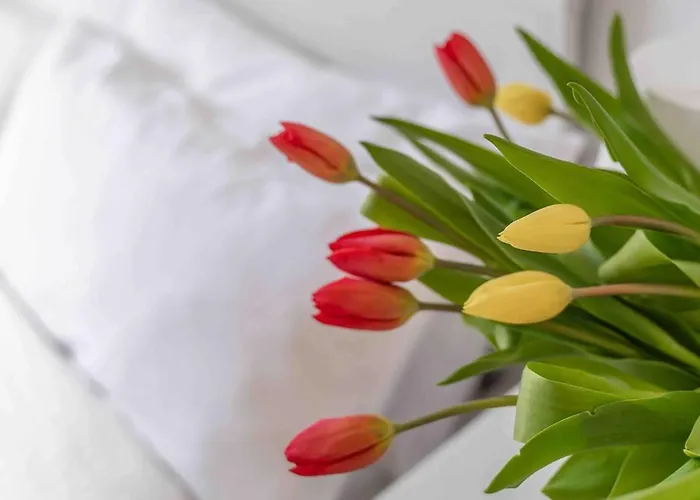 Tic Tac 23 Family With Pool View